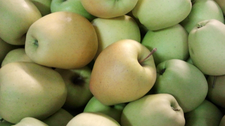 Lenkijos vaisių eksportuotojas iš obuolių, kriaušių, slyvų, vyšnių, didmeninės Lenkijos 02